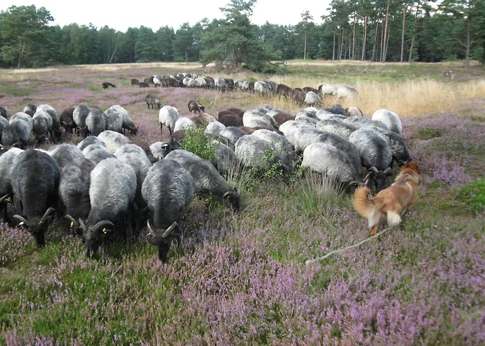 Pensjonat Der Schnuckenhof 3*